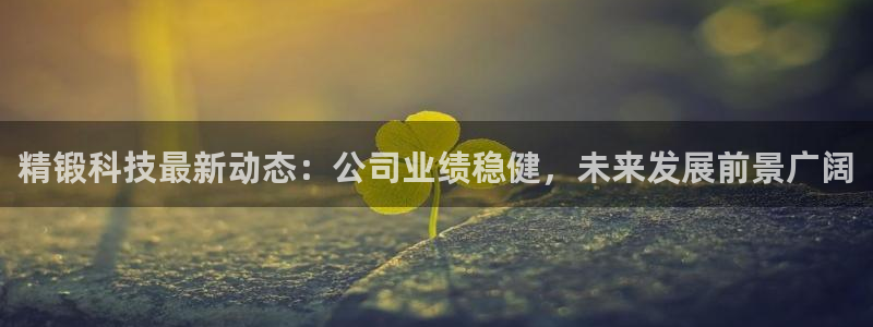 精锻科技最新动态：公司业绩稳健，未来发展前景广阔