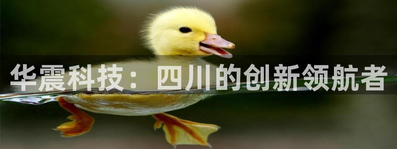 华震科技：四川的创新领航者