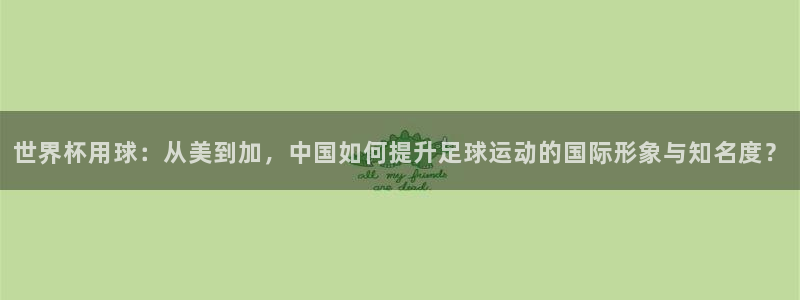 世界杯用球：从美到加，中国如何提升足球运动的国际形象与知名度？